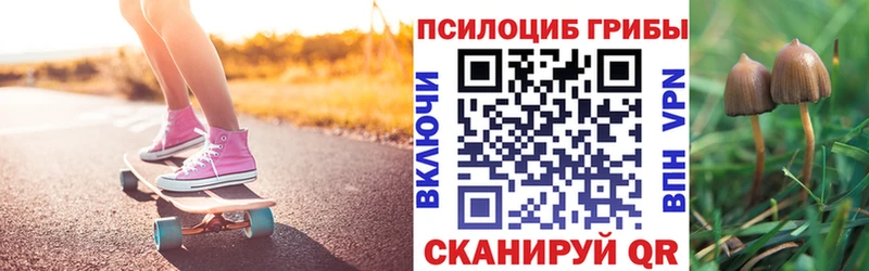 сайты даркнета клад Зарайск Псилоцибиновые грибы Psilocybe